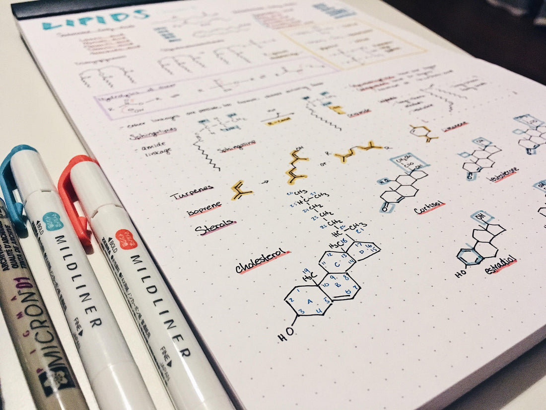 Digital-to-Paper Pen Plotter: Best Pen Plotters for Students